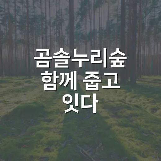 곰솔누리숲 함께 줍고 잇다