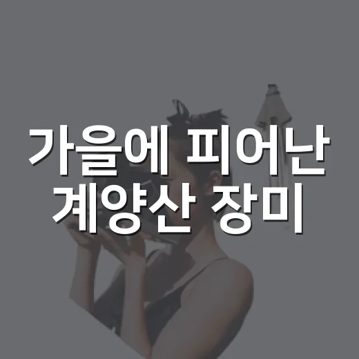 가을에 피어난 계양산 장미