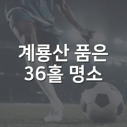 계룡산 품은 36홀 명소
