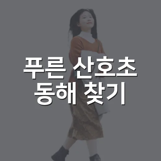 푸른 산호초 동해 찾기