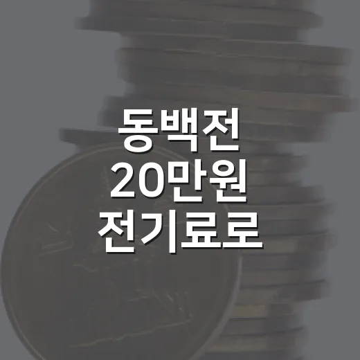 동백전 20만원 전기료로