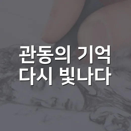 관동의 기억 다시 빛나다