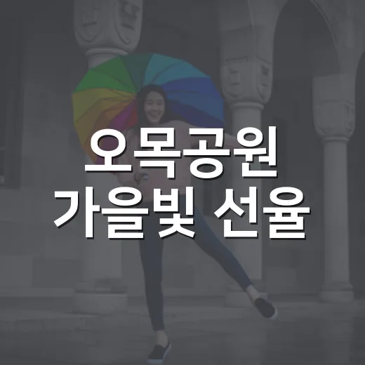 오목공원 가을빛 선율