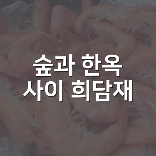 숲과 한옥 사이 희담재