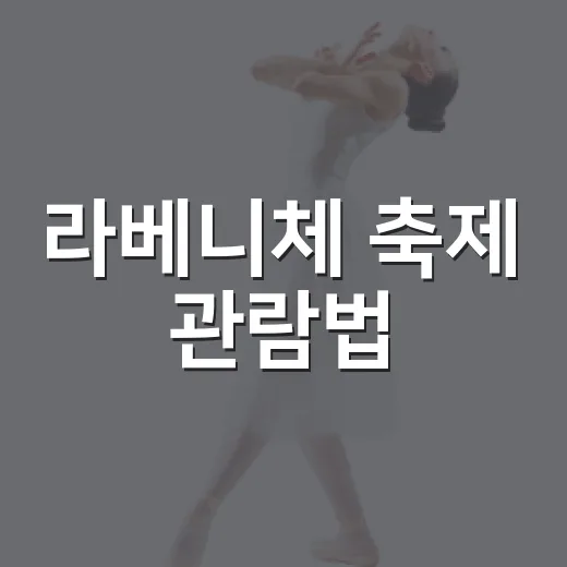 라베니체 축제 관람법