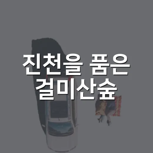 진천을 품은 걸미산숲