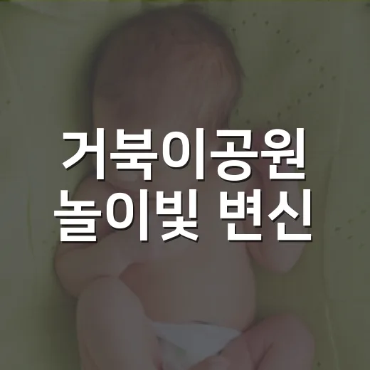 거북이공원 놀이빛 변신