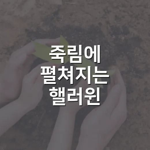 죽림에 펼쳐지는 핼러윈