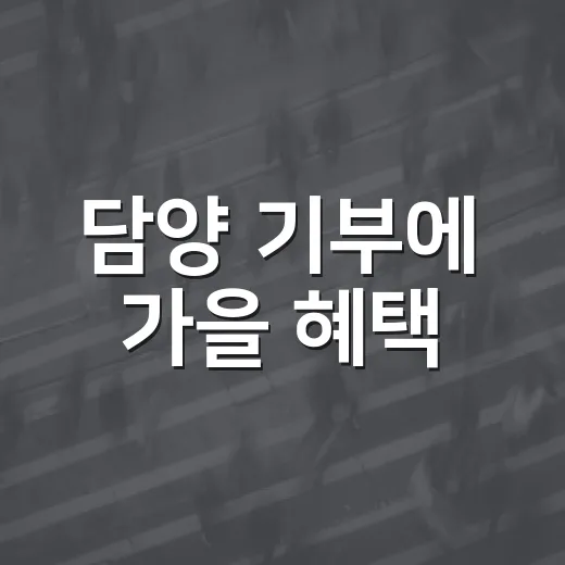 담양 기부에 가을 혜택