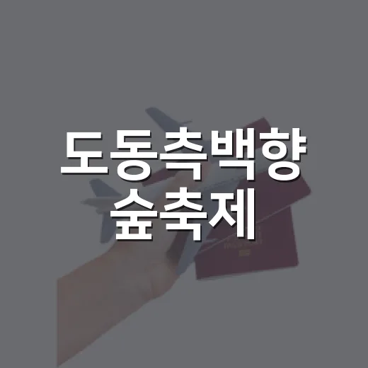 도동측백향 숲축제