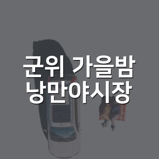 군위 가을밤 낭만야시장