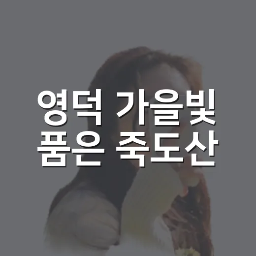 영덕 가을빛 품은 죽도산