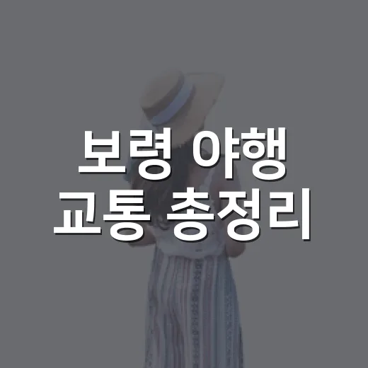 보령 야행 교통 총정리