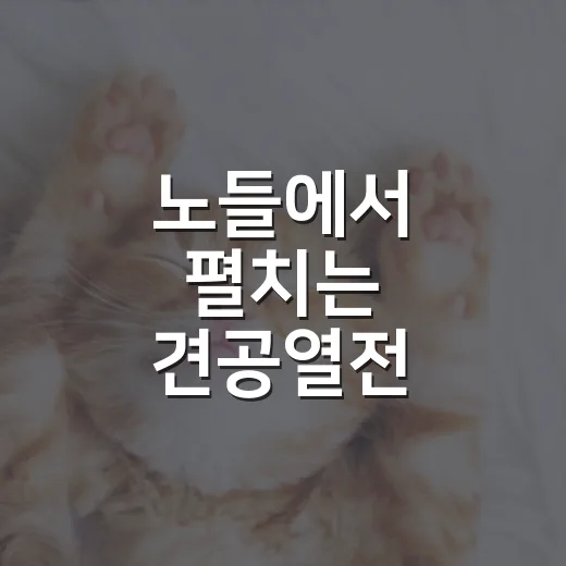 노들에서 펼치는 견공열전
