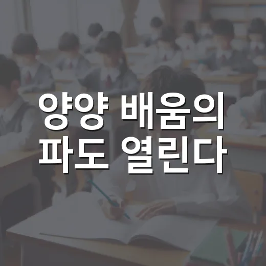 양양 배움의 파도 열린다