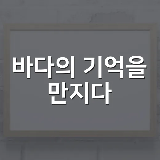 바다의 기억을 만지다