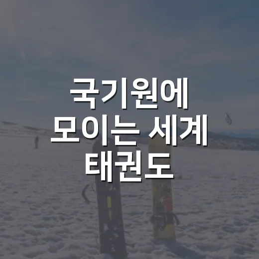국기원에 모이는 세계 태권도