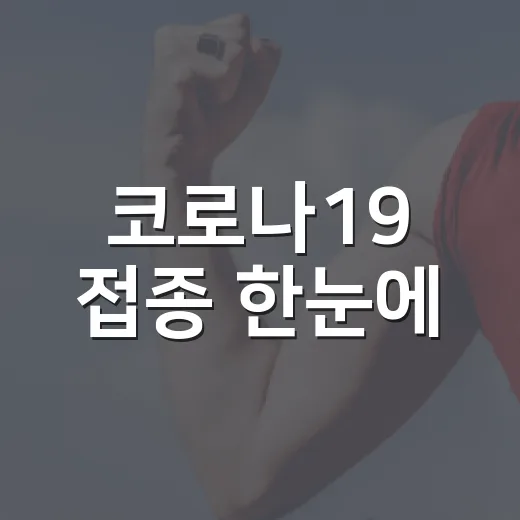 코로나19 접종 한눈에