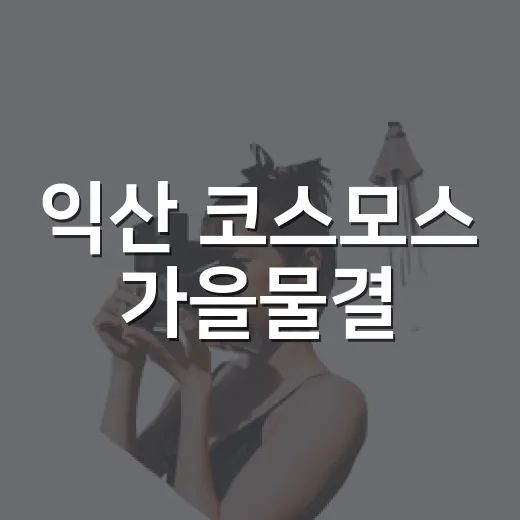 익산 코스모스 가을물결
