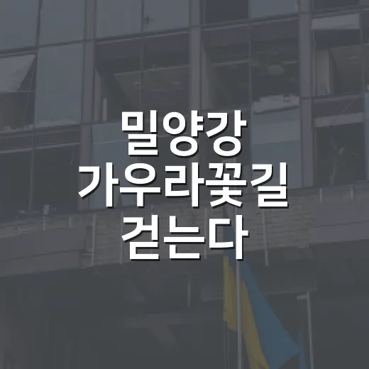 밀양강 가우라꽃길 걷는다