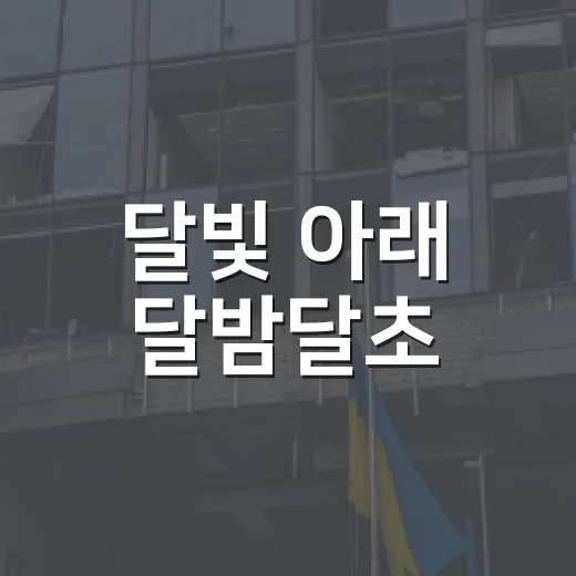 달빛 아래 달밤달초