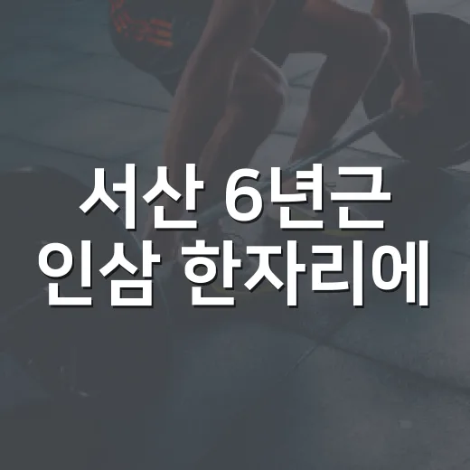 서산 6년근 인삼 한자리에