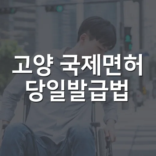 고양 국제면허 당일발급법