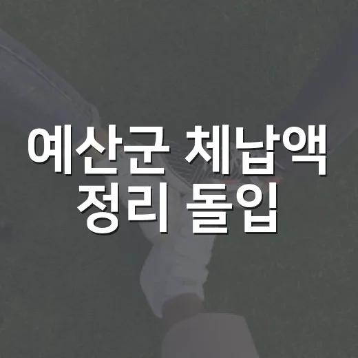 예산군 체납액 정리 돌입
