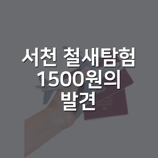 서천 철새탐험 1500원의 발견