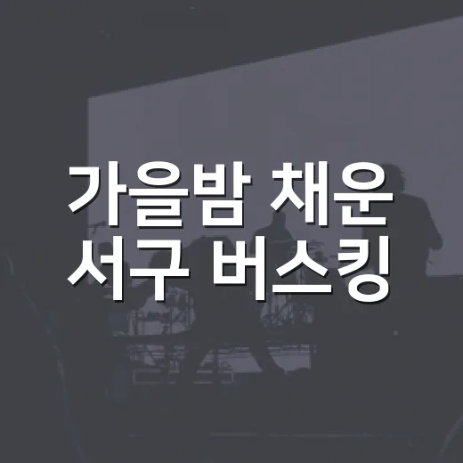 가을밤 채운 서구 버스킹