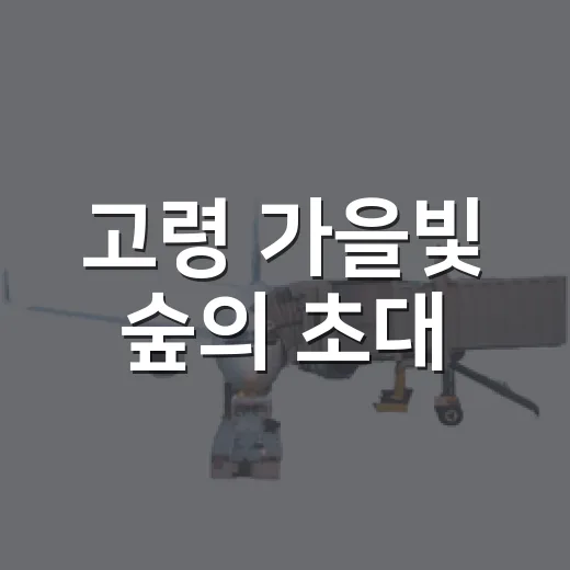고령 가을빛 숲의 초대