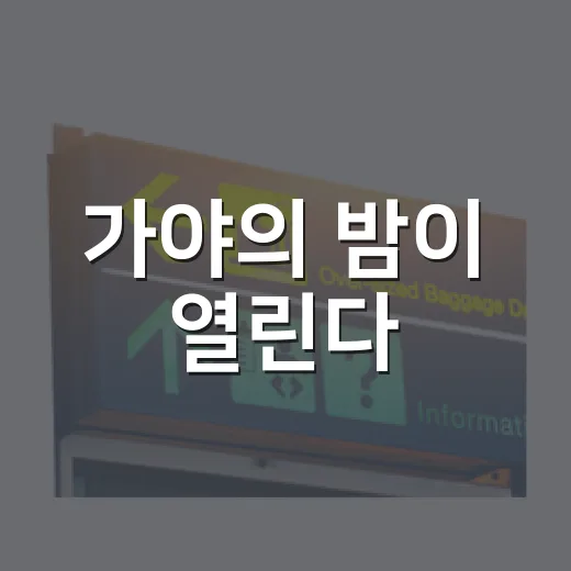 가야의 밤이 열린다