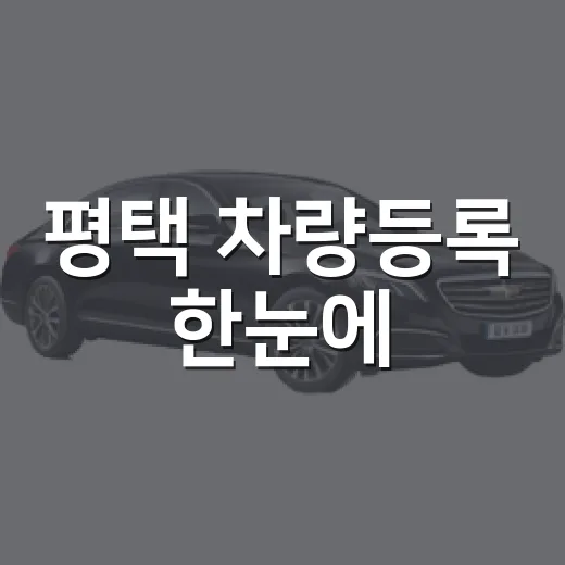 평택 차량등록 한눈에