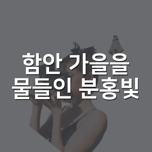 함안 가을을 물들인 분홍빛