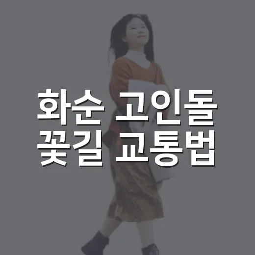 화순 고인돌 꽃길 교통법