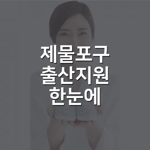 제물포구 출산지원 한눈에