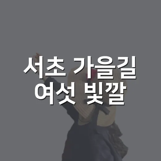 서초 가을길 여섯 빛깔