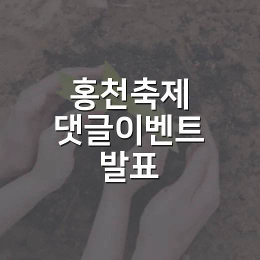 홍천축제 댓글이벤트 발표