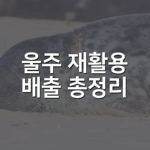 울주 재활용 배출 총정리