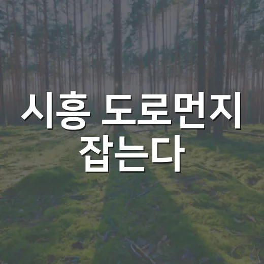 시흥 도로먼지 잡는다