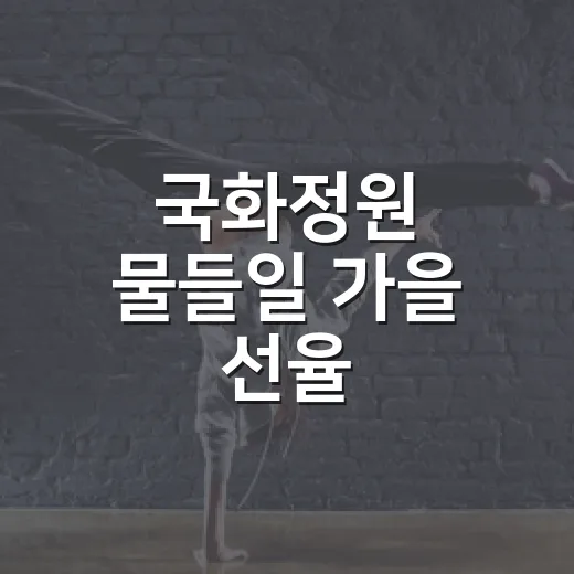 국화정원 물들일 가을 선율