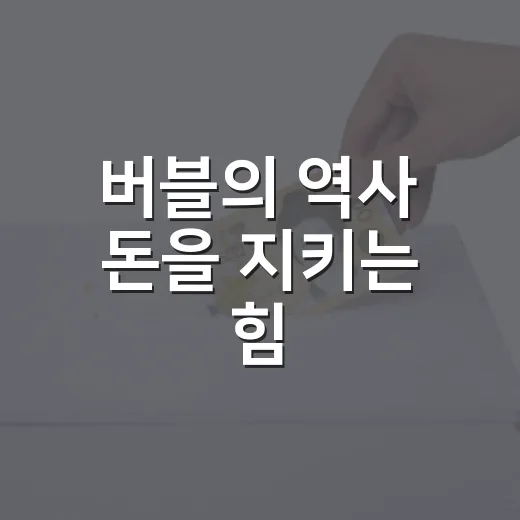 버블의 역사 돈을 지키는 힘