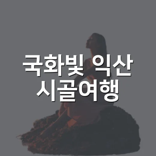 국화빛 익산 시골여행