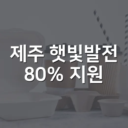제주 햇빛발전 80% 지원