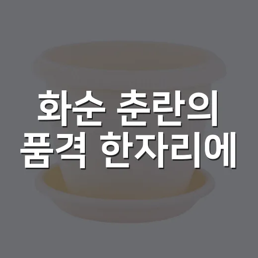 화순 춘란의 품격 한자리에