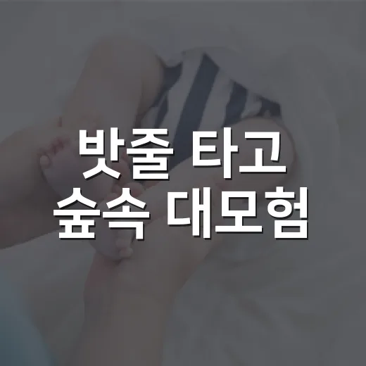 밧줄 타고 숲속 대모험