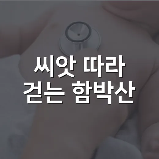 씨앗 따라 걷는 함박산