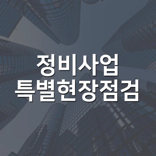 정비사업 특별현장점검, 10월 19일 시작