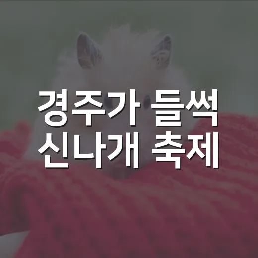 경주가 들썩 신나개 축제