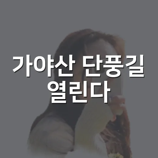 가야산 단풍길 열린다